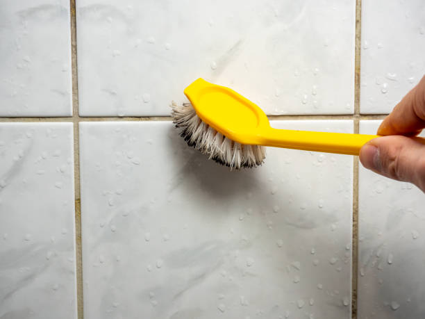 Best Residential Mold Remediation in Atlantis, FL